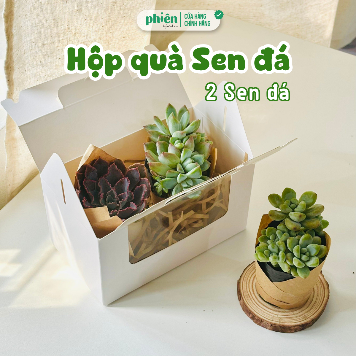 Hộp Quà Tặng 2 Sen Đá Chậu Gốm