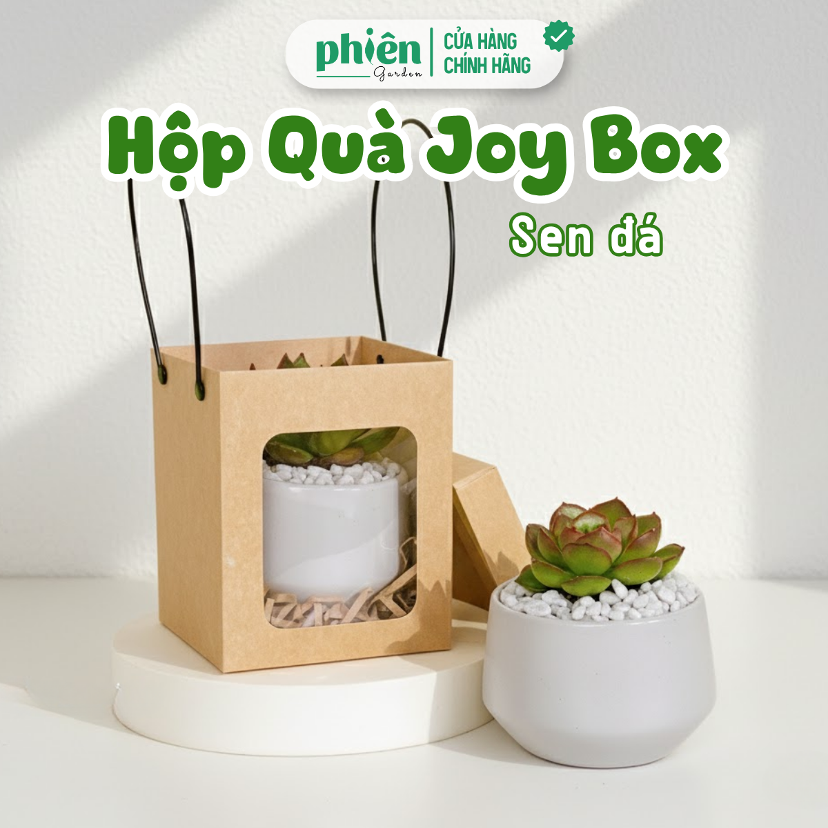 Hộp Quà Joy Box Sen Đá Chậu Gốm Mini