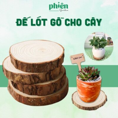 Đế Lót Gỗ Kê Chậu Cây Để Bàn, Phụ Kiện Chống Thấm Nước