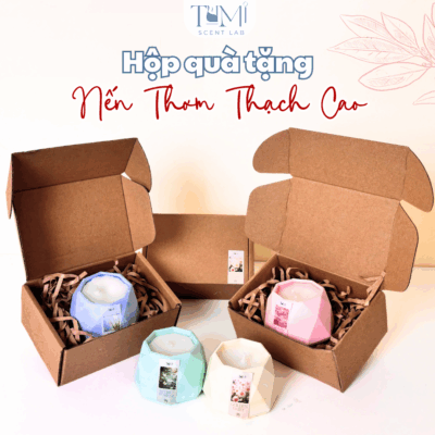Hộp Quà Tặng Nến Thơm Cốc Thạch Cao Pastel Xinh Xắn