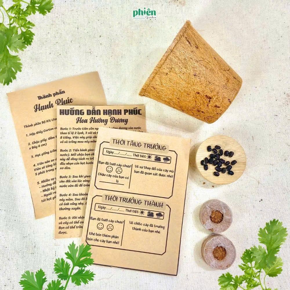 Bộ Kit Ươm Mầm Gieo Hạt Mini, Bộ Kit Ươm Mầm Hạnh Phúc, Bộ Kit Gieo Hạt Tự Trồng - Cà Chua Bi, Cải Ngọt ,Hướng Dương