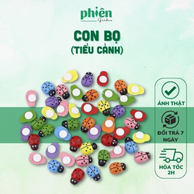 Bọ cánh cứng trang trí tiểu cảnh, sen đá, terrarium, Phụ kiện Tiểu cảnh mini