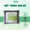 Đất trồng sen đá xương rồng, giá thể trồng cây kiểng lá túi 100gram