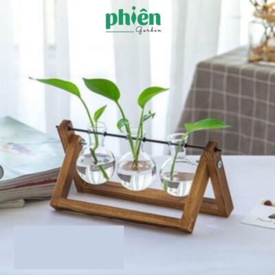 Kệ gỗ lọ thuỷ tinh bóng đèn, chậu xích đu 1,2,3 lọ trang trí vintage, Bình Trồng Cây Thủy Sinh