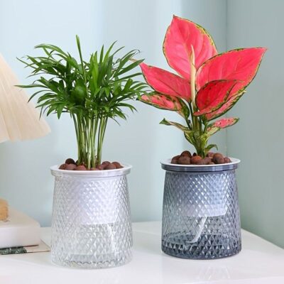 Chậu Thuỷ Sinh trồng cây, Chậu Tự Tưới, Dành Cho Cây Thuỷ Canh, Cây Để Văn Phòng