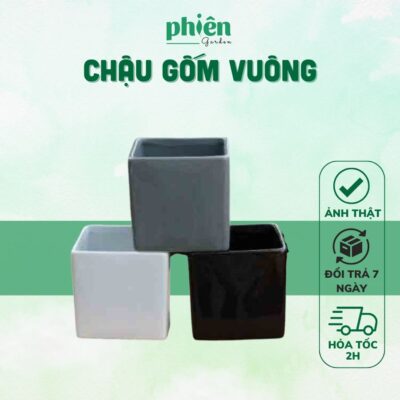 Chậu vuông gốm tráng men Bát Tràng trồng cây mini
