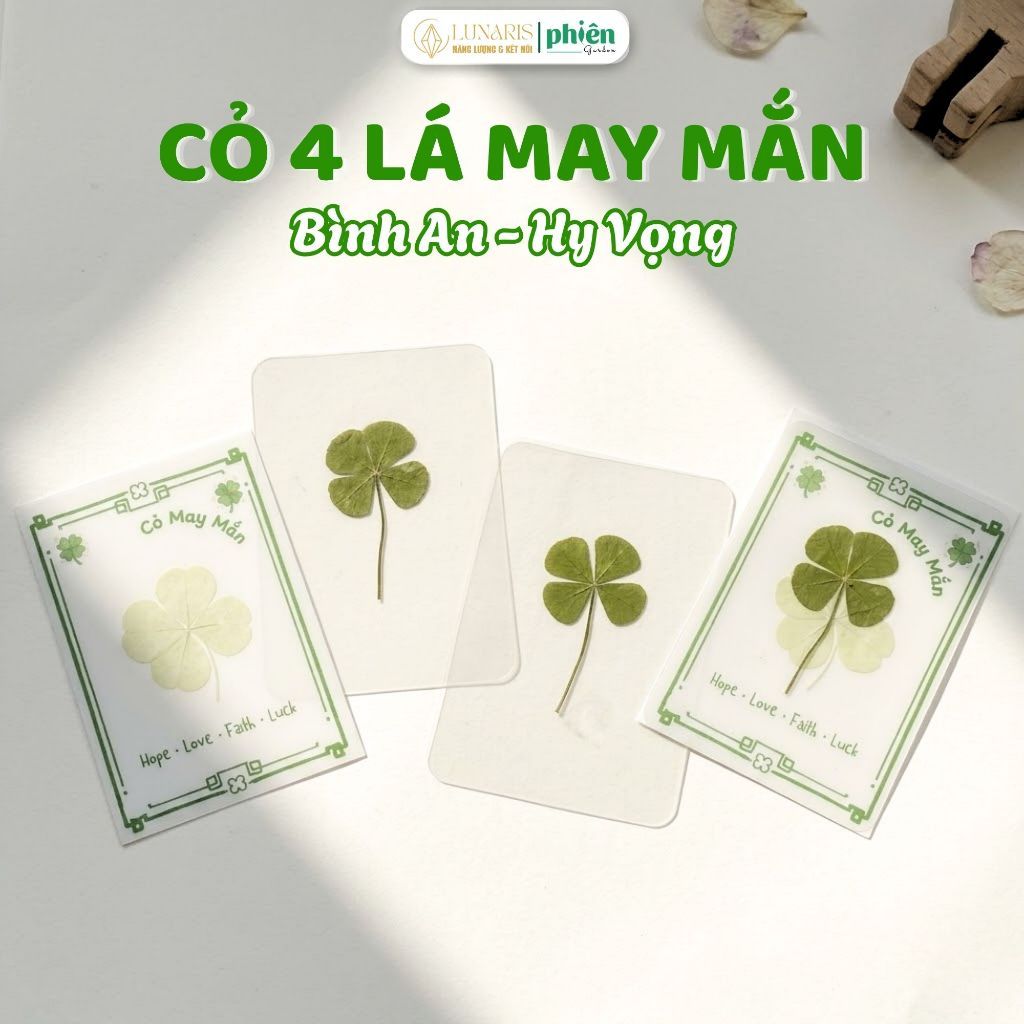 Cỏ Bốn Lá May Mắn, Lá Thật Ép Nhựa, Biểu Tượng Niềm Tin Và Hy Vọng, Dùng Để Trong Điên Thoại, Ví