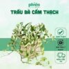 Cây Trầu Bà Cẩm Thạch chậu treo lá rũ