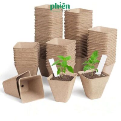 Chậu Giấy Ươm Mầm, Dễ Phân Huỷ, Chậu Giấy Trồng Cây 8cm, Chậu trồng sen đá