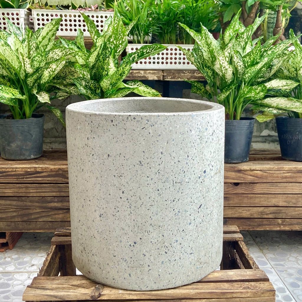 Chậu Xi Măng Đá Mài Trụ Tròn Kích Thước 30cm Màu Trắng, Đen, Xám Trồng Cây Nội Thất