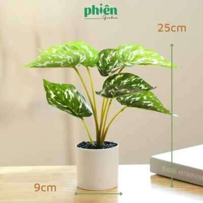 [CÂY GIẢ] Cây Giả Để Bàn Nhiều Mẫu, Trang Trí Bàn Làm Việc, Decor Văn Phòng, Phòng Khách, Trang Trí Nhà Cửa
