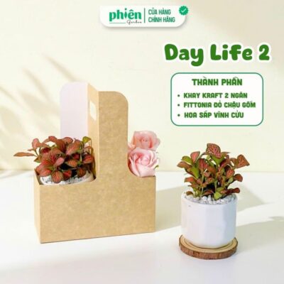 Hộp Quà Cây May Mắn, Ly Thủy Tinh và Hoa Vĩnh Cữu Kèm Túi Quai Xách Quà Tặng Đồng Nghiệp, Doanh Nghiệp, Đối Tác, Bạn Bè