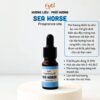 Tinh Dầu Phối Hương,Hương Liệu Làm Nến Thơm, Khuếch Tán Xông Phòng, Fragrance Oils Chai10ml