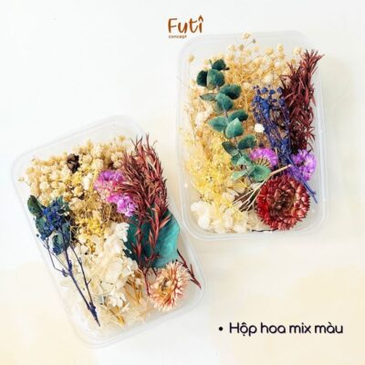 Set Hoa khô Mix Nhiều Loại, Lát Cam, Hoa Baby, Cẩm Tú Cầu Trang Trí Nến Thơm, Decor Trang Trí