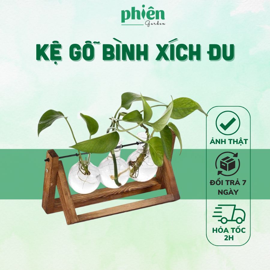 Kệ Gỗ Lọ Thuỷ Tinh Xích Đu Trồng Cây Thủy Sinh